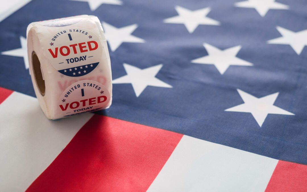 Southwest Michigan Voters Decide Local Races