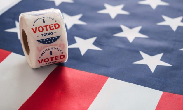 Southwest Michigan Voters Decide Local Races