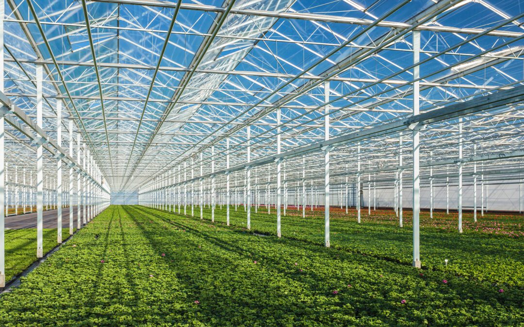 MDARD Launches 2026 Horticulture Fund