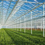 MDARD Launches 2026 Horticulture Fund