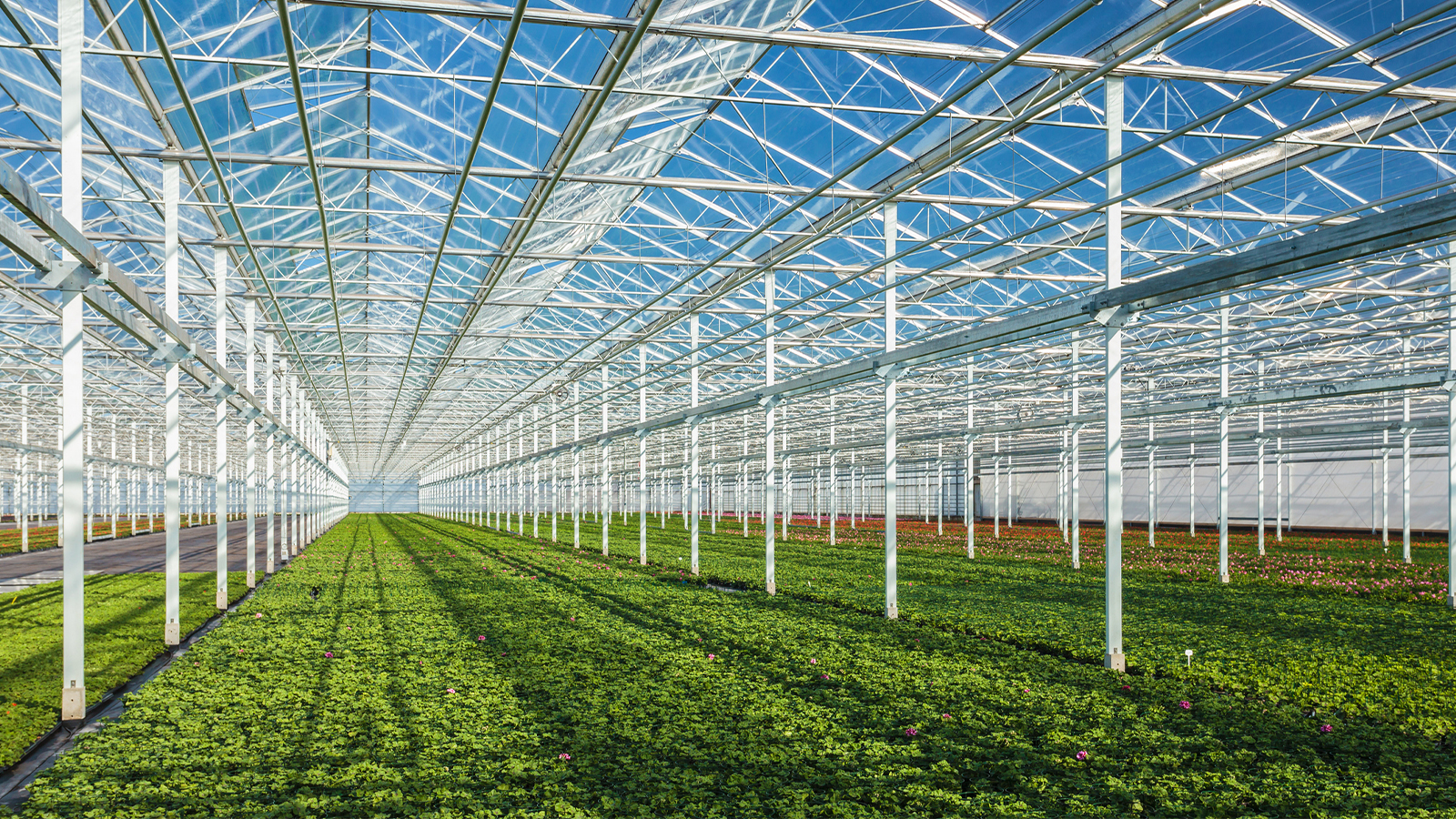 MDARD Launches 2026 Horticulture Fund